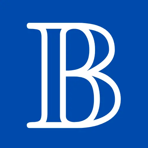 Borr Project logo